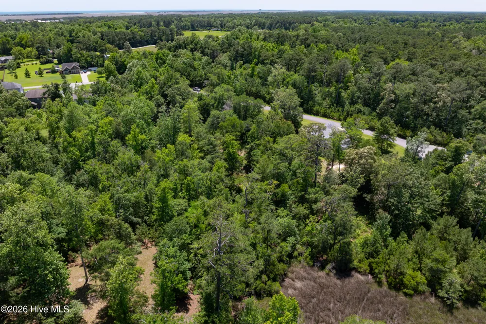 Lot 10 Tree Hill Lane Hubert, NC 28539