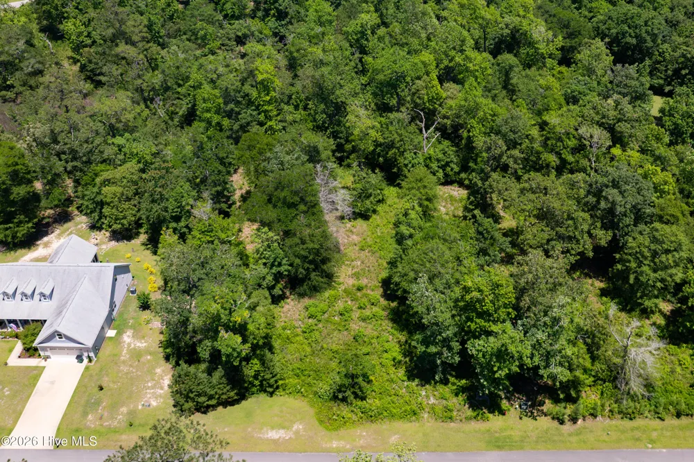 Lot 10 Tree Hill Lane Hubert, NC 28539