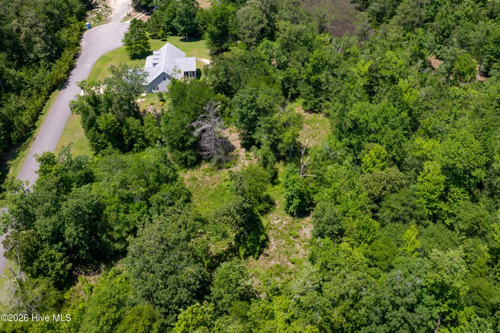 Lot 10 Tree Hill Lane Hubert, NC 28539