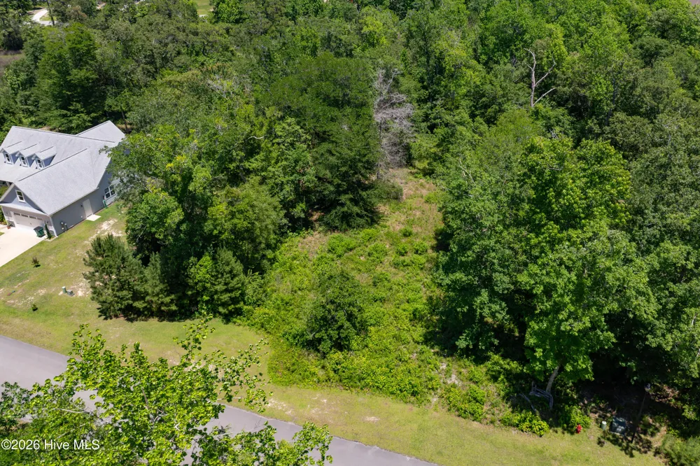 Lot 10 Tree Hill Lane Hubert, NC 28539