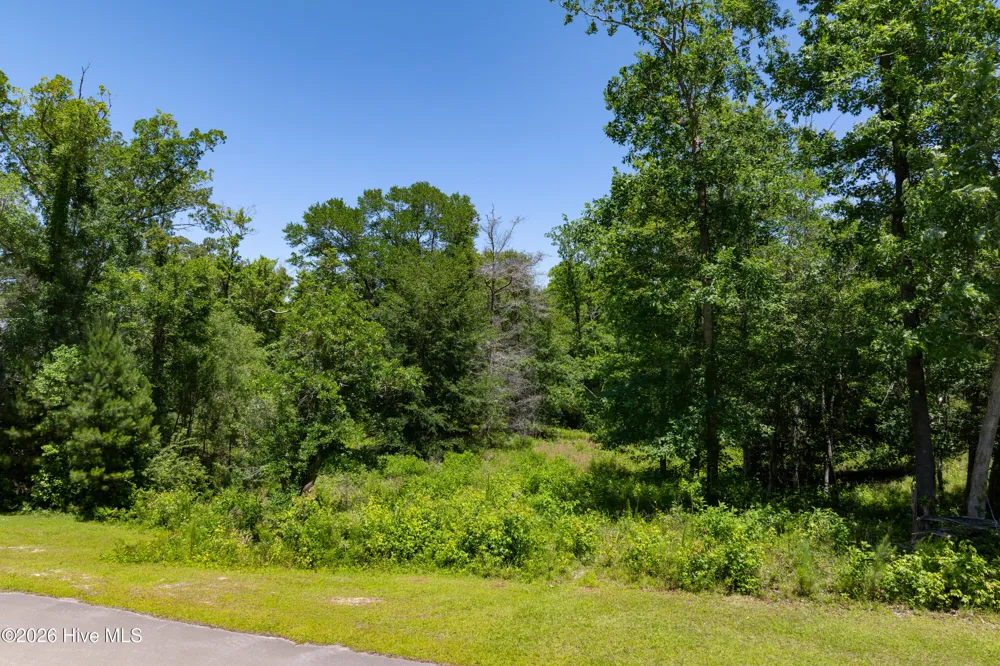 Lot 10 Tree Hill Lane Hubert, NC 28539