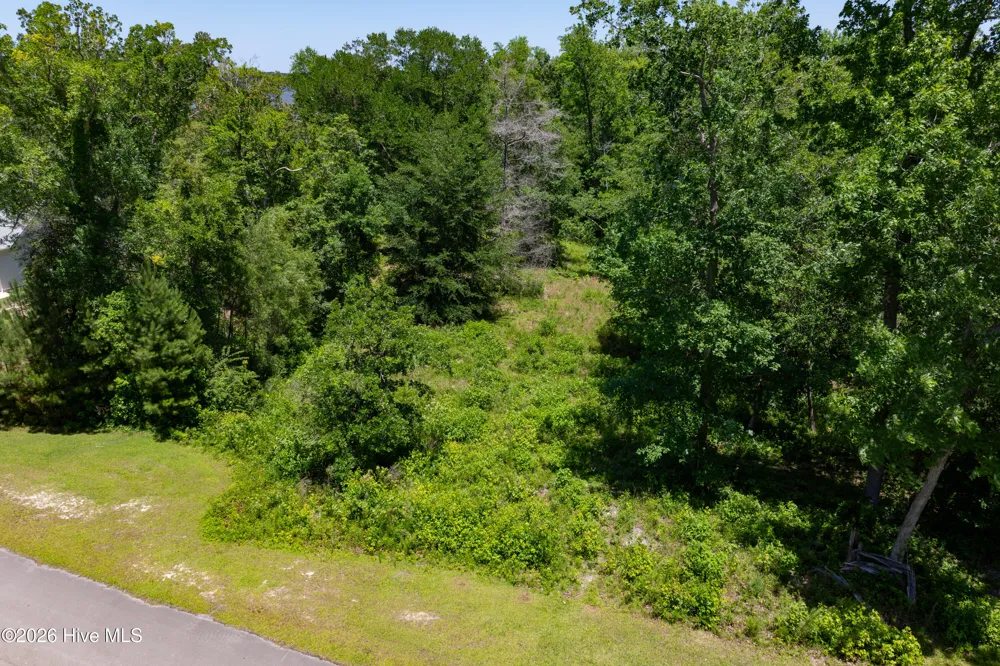 Lot 10 Tree Hill Lane Hubert, NC 28539