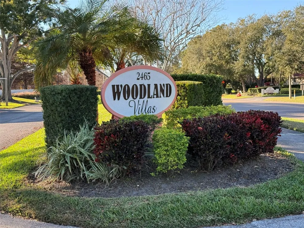 2465 NORTHSIDE DRIVE #102 Clearwater, FL 33761