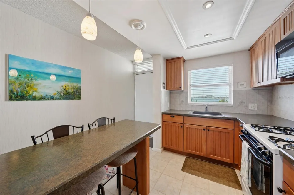 1847 SHORE DRIVE S #711 South Pasadena, FL 33707
