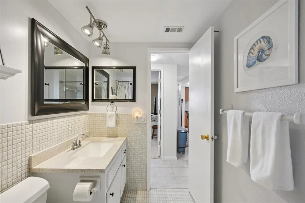 1847 SHORE DRIVE S #711 South Pasadena, FL 33707