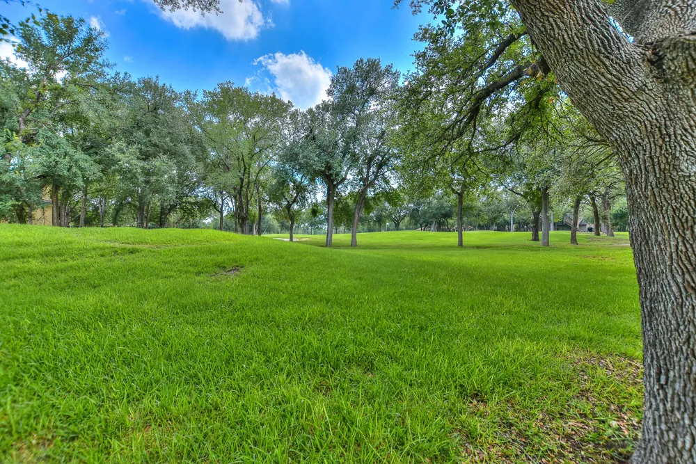 30110 Torrey Pines Circle Georgetown, TX 78628