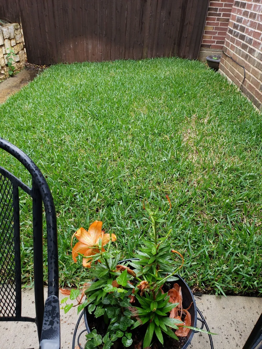250 Churchill Loop Grapevine, TX 76051