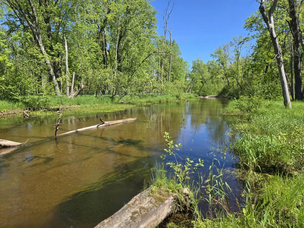 382 W Morgan Drive Luther, MI 49656