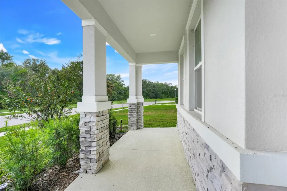 10169 SPRING LAKE DRIVE Clermont, FL 34711