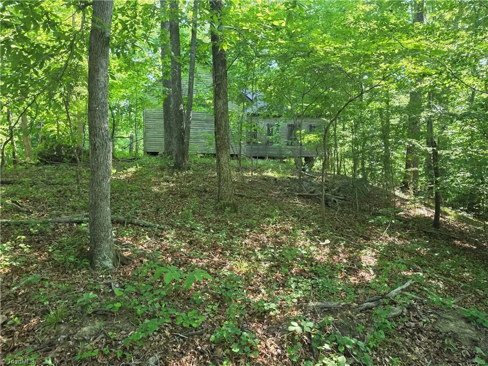 1055 Ed Booth Road Westfield, NC 27053