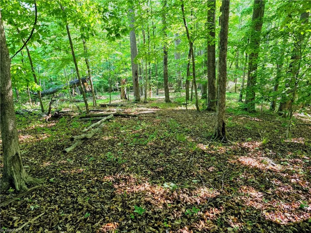 1055 Ed Booth Road Westfield, NC 27053
