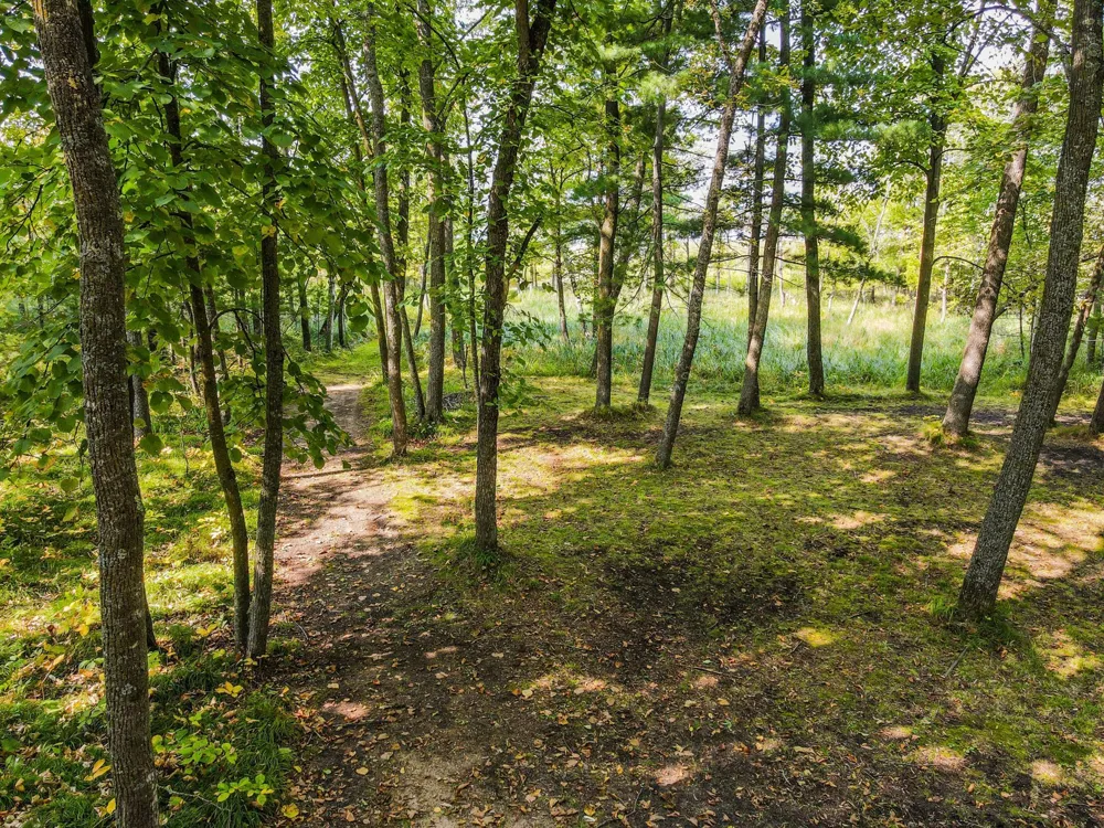 14701 Chokecherry Drive Nevis, MN 56467
