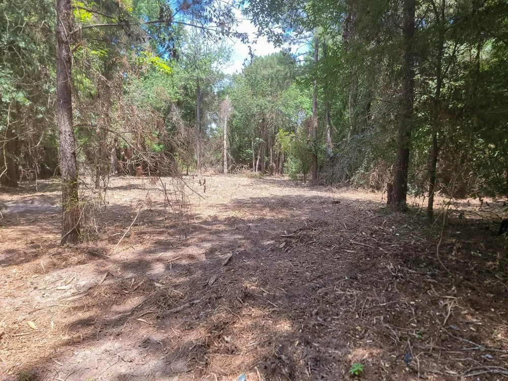 1 Cr 428 Tyler, TX 75704