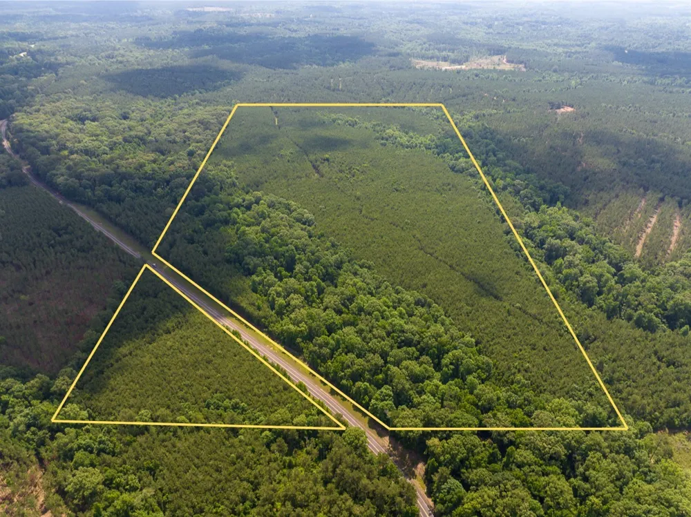 1 HIghway 126 Jena, LA 71465