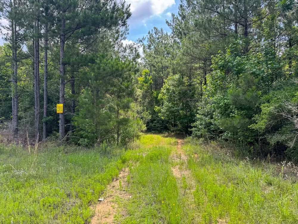 1 HIghway 126 Jena, LA 71465
