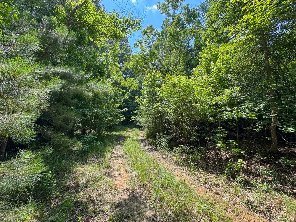 1 HIghway 126 Jena, LA 71465