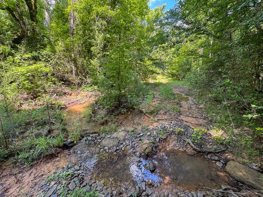 1 HIghway 126 Jena, LA 71465