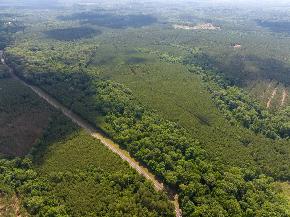 1 HIghway 126 Jena, LA 71465