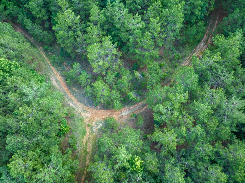 1 HIghway 126 Jena, LA 71465