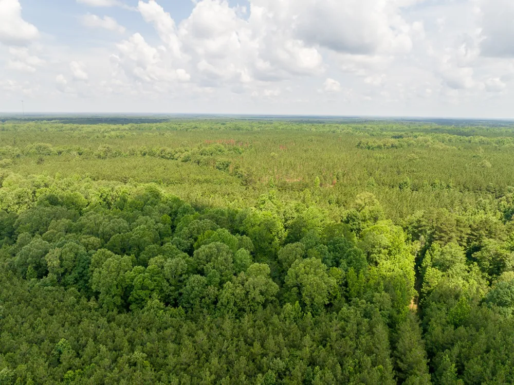 1 HIghway 126 Jena, LA 71465