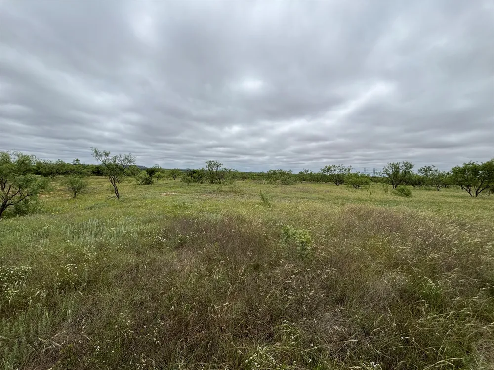 202 County Road 312 Winters, TX 79567