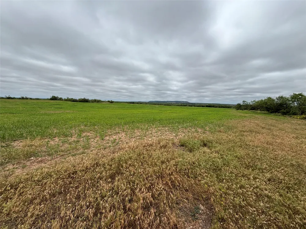 202 County Road 312 Winters, TX 79567