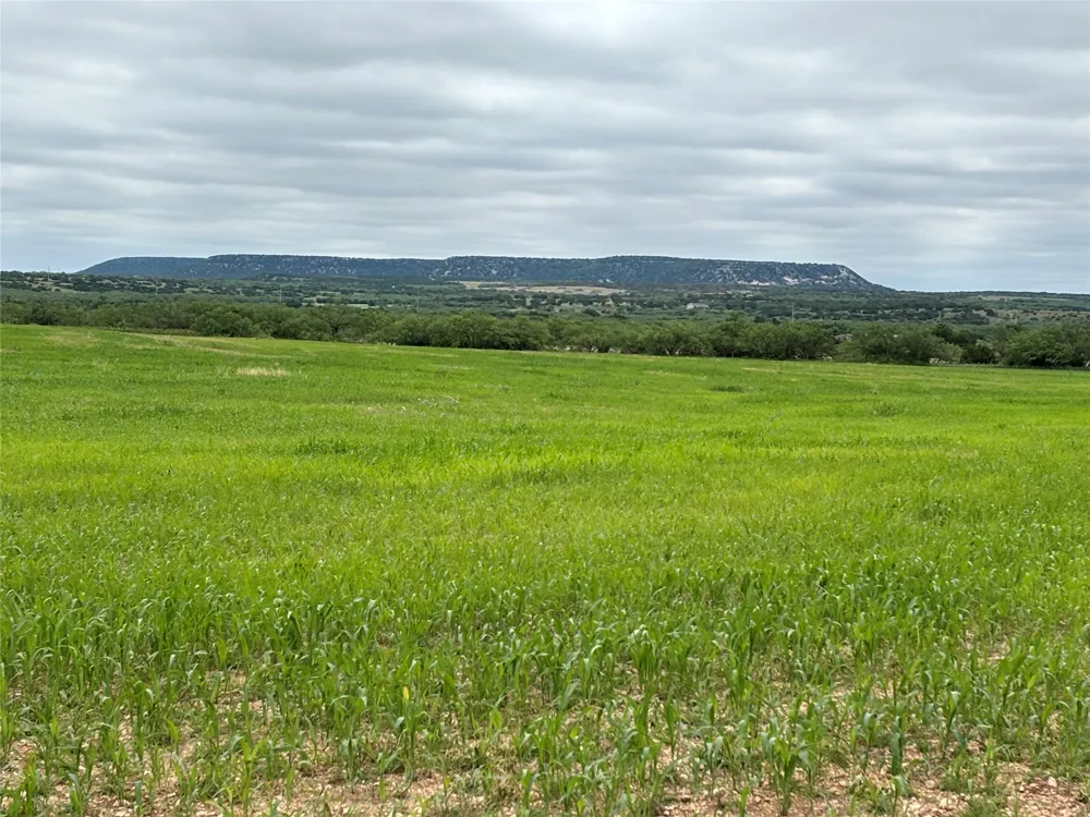 202 County Road 312 Winters, TX 79567