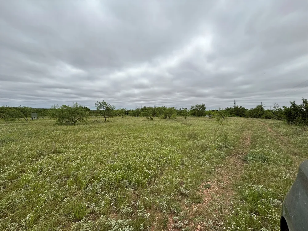 202 County Road 312 Winters, TX 79567