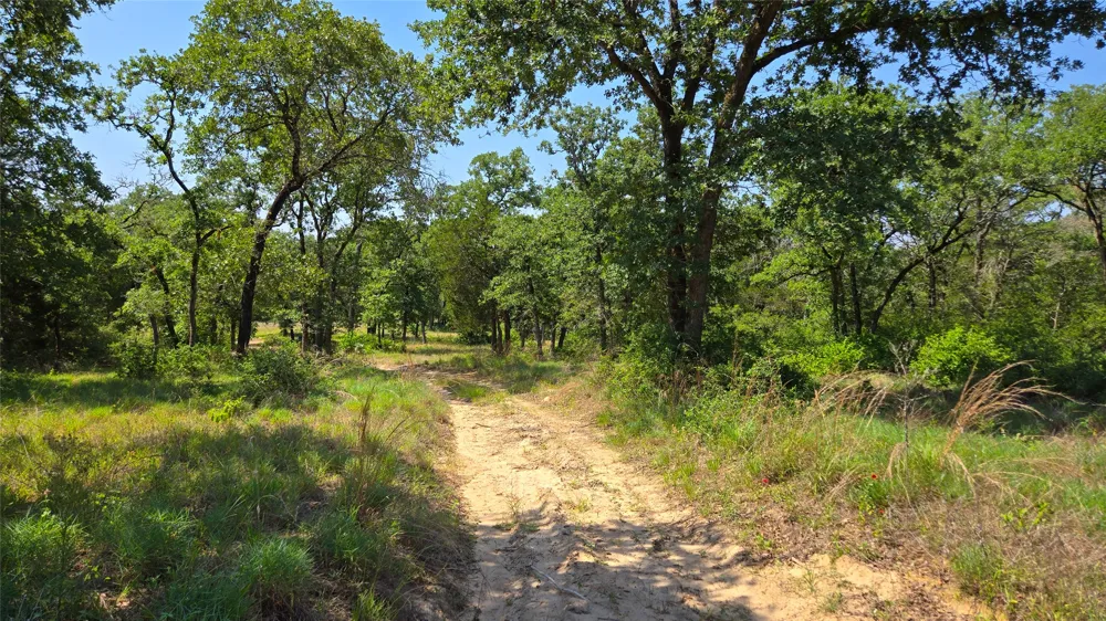 277 Meuth Cemetery Road Red Rock, TX 78662