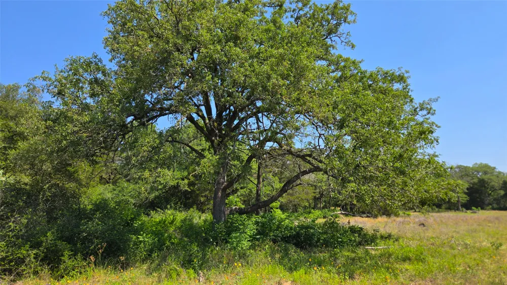 277 Meuth Cemetery Road Red Rock, TX 78662