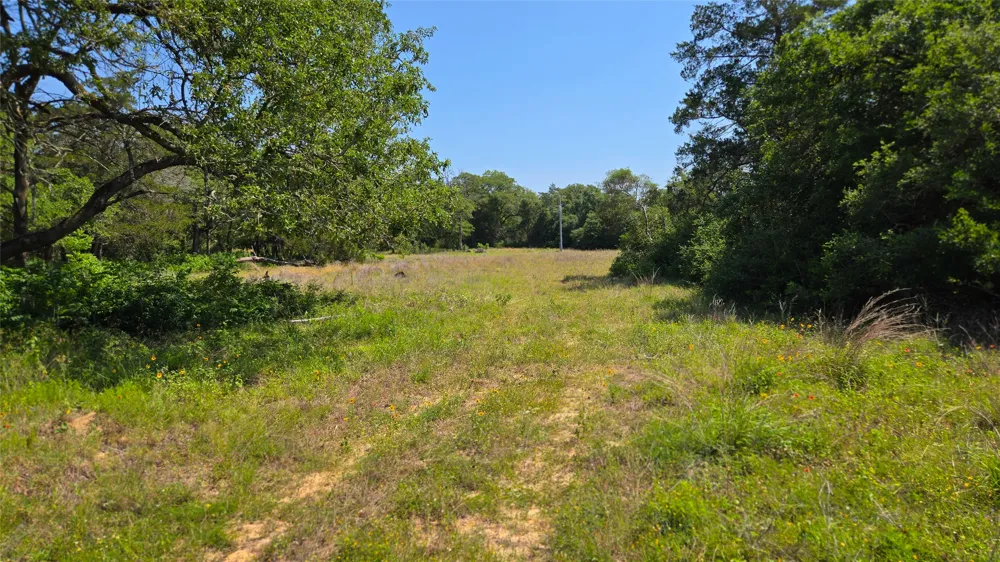 277 Meuth Cemetery Road Red Rock, TX 78662