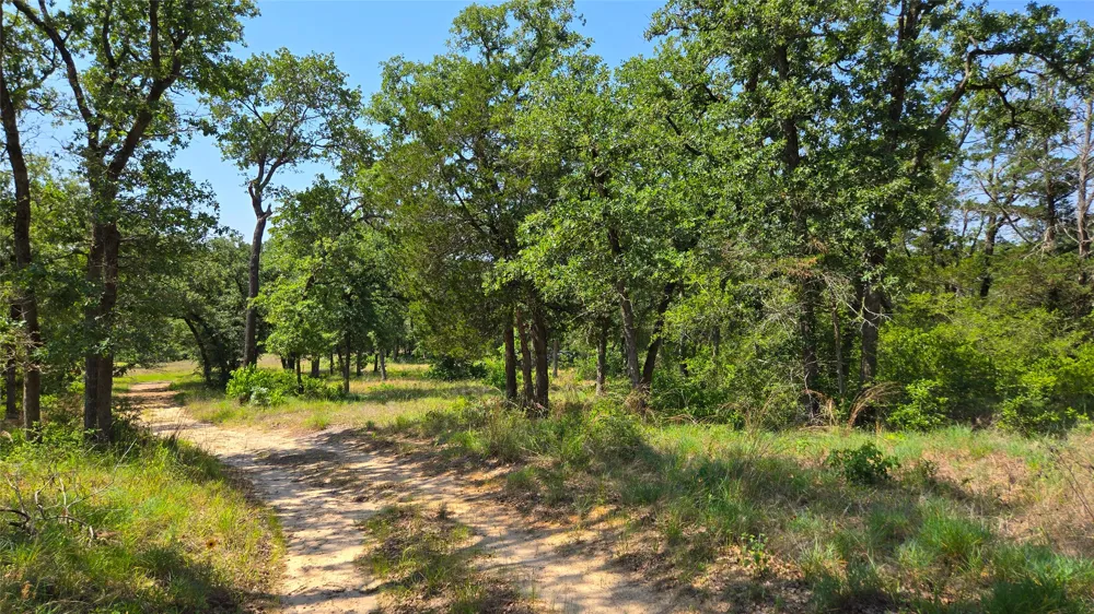 277 Meuth Cemetery Road Red Rock, TX 78662