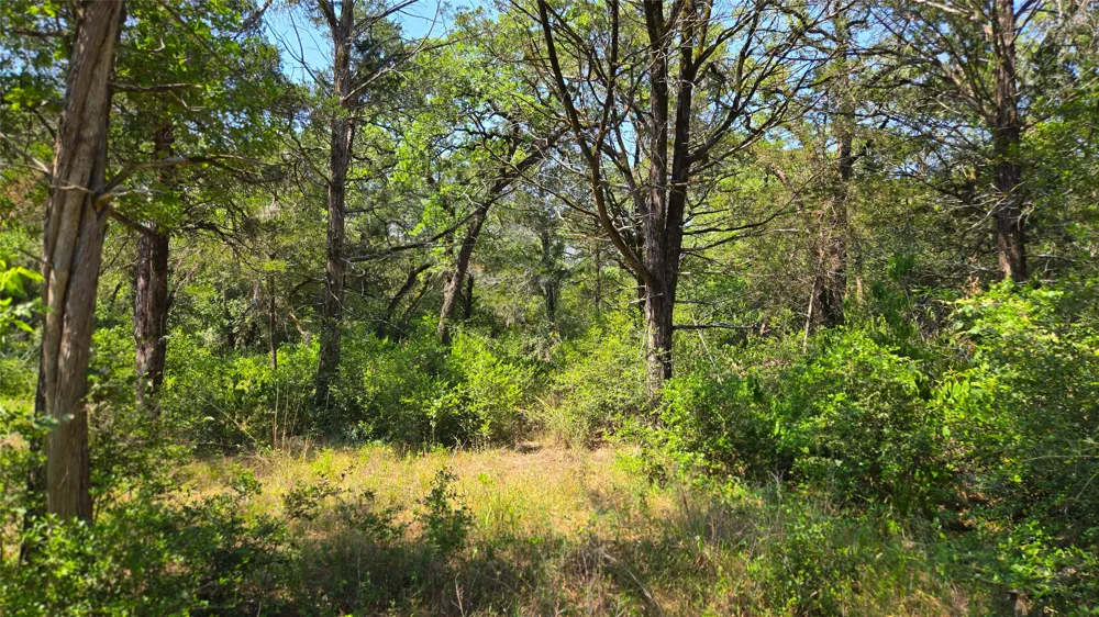 277 Meuth Cemetery Road Red Rock, TX 78662