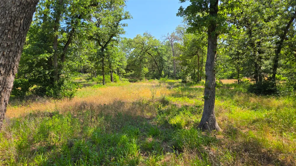 277 Meuth Cemetery Road Red Rock, TX 78662
