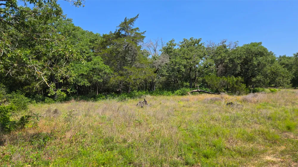 277 Meuth Cemetery Road Red Rock, TX 78662