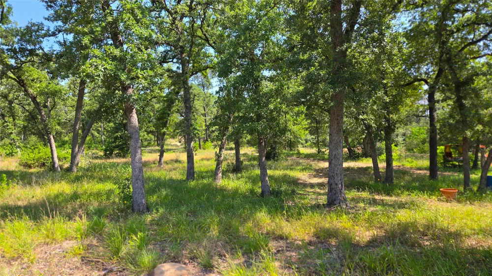 277 Meuth Cemetery Road Red Rock, TX 78662