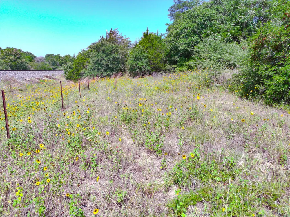 277 Meuth Cemetery Road Red Rock, TX 78662