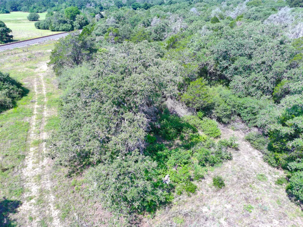 277 Meuth Cemetery Road Red Rock, TX 78662