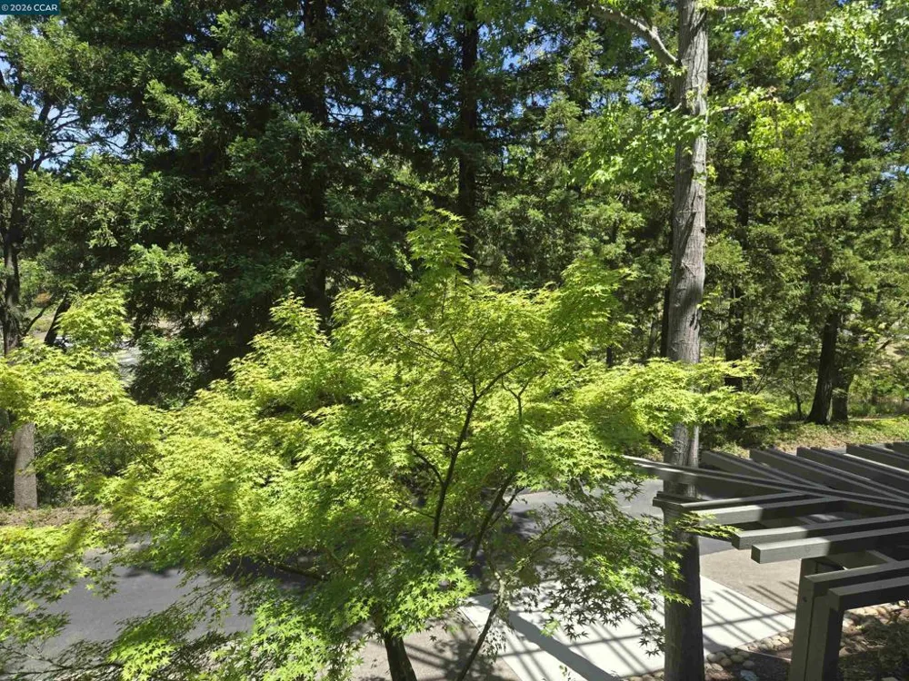 1860 Tice Creek Dr #1208 Walnut Creek, CA 94595