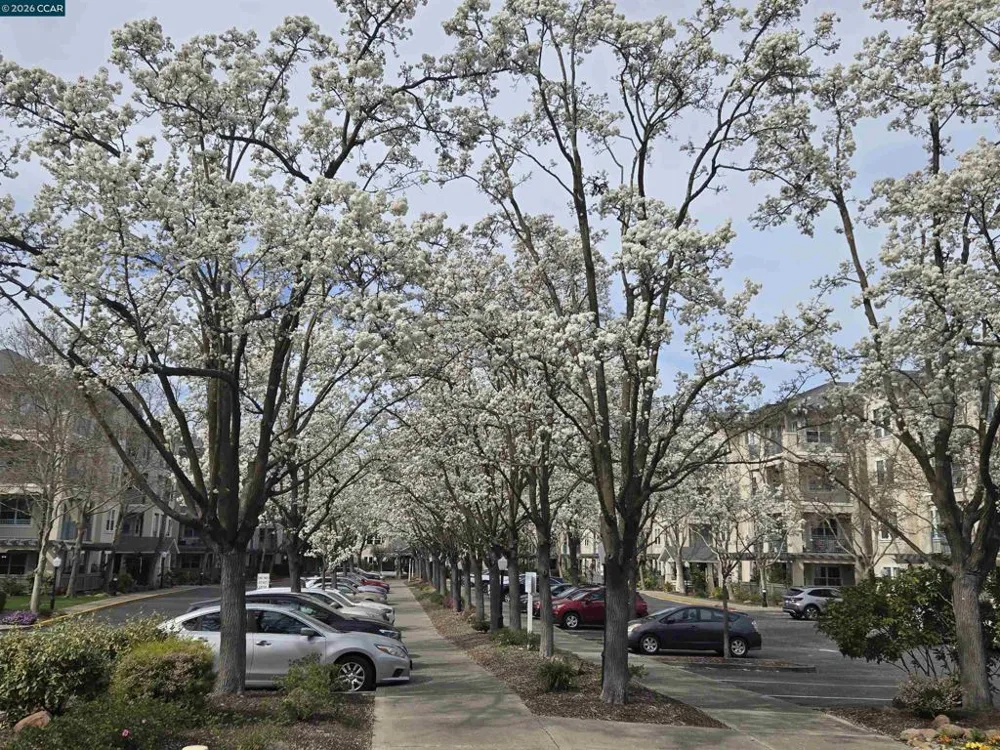 1860 Tice Creek Dr #1208 Walnut Creek, CA 94595