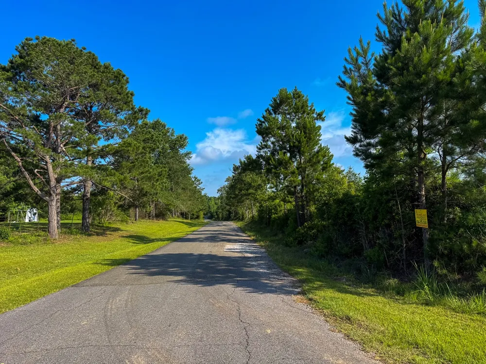 Ellis West Road Pitkin, LA 70656