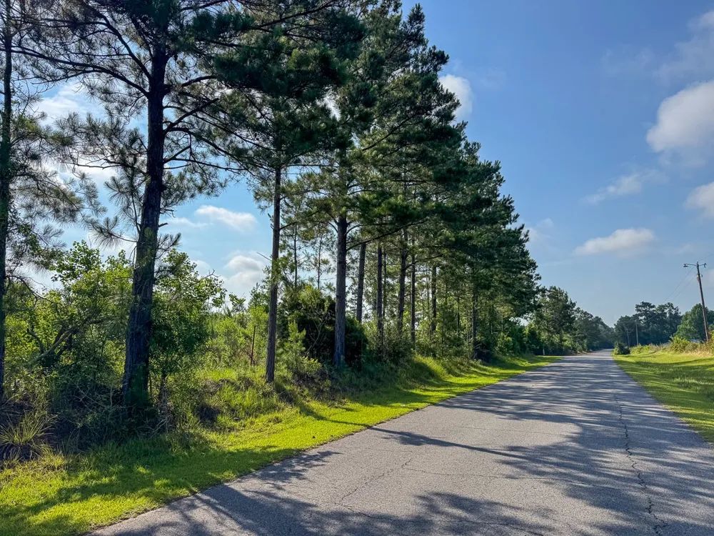 Ellis West Road Pitkin, LA 70656