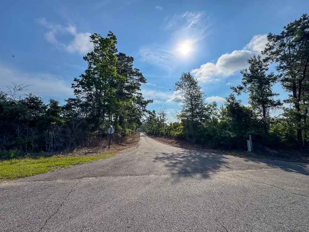 Ellis West Road Pitkin, LA 70656