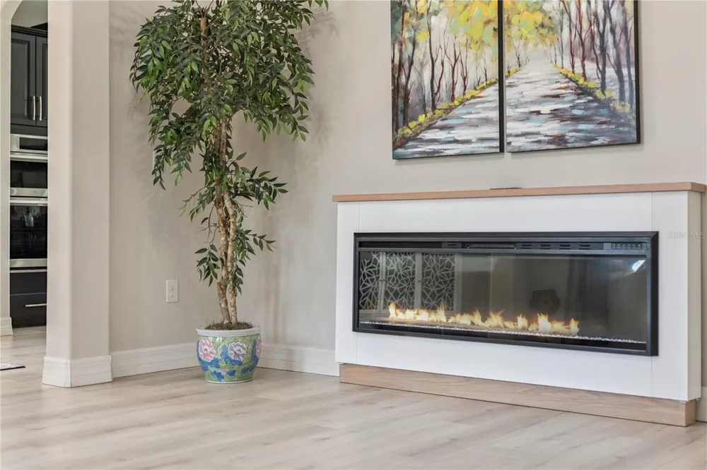 32628 VIEW HAVEN LANE Sorrento, FL 32776
