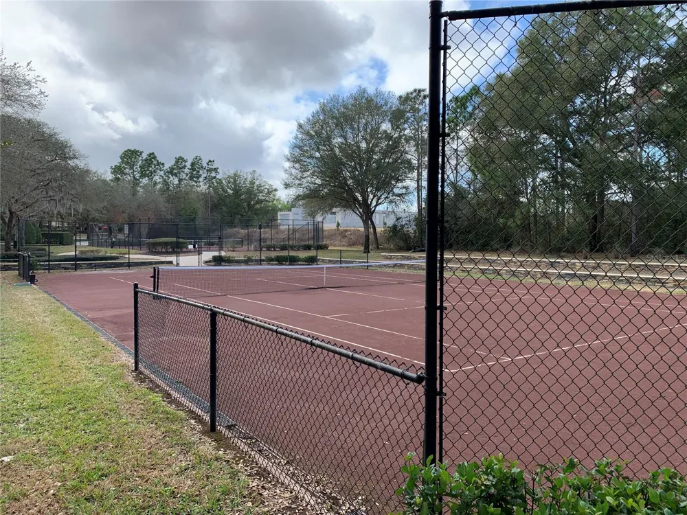 32628 VIEW HAVEN LANE Sorrento, FL 32776