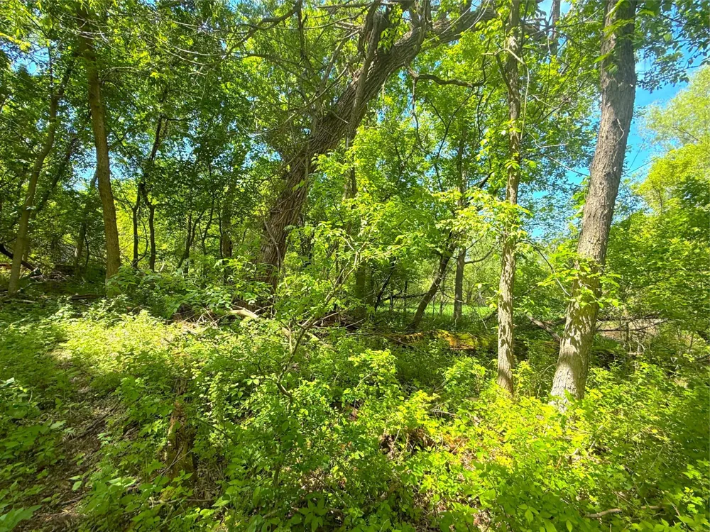 21044 County Road 75 Clearwater, MN 55320