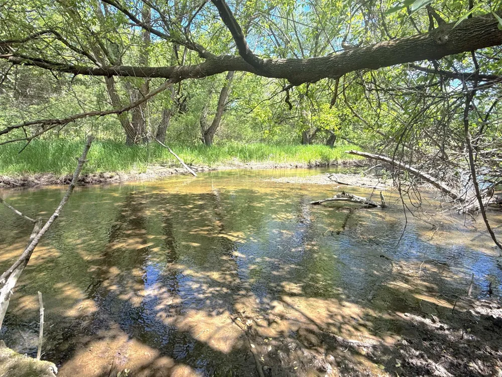 21044 County Road 75 Clearwater, MN 55320