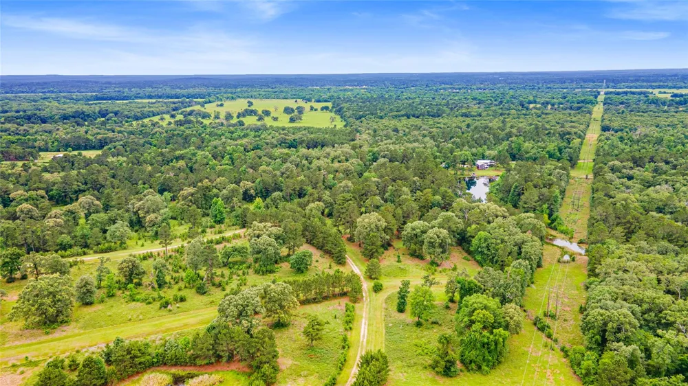 Golden Grove Trinity, TX 75862