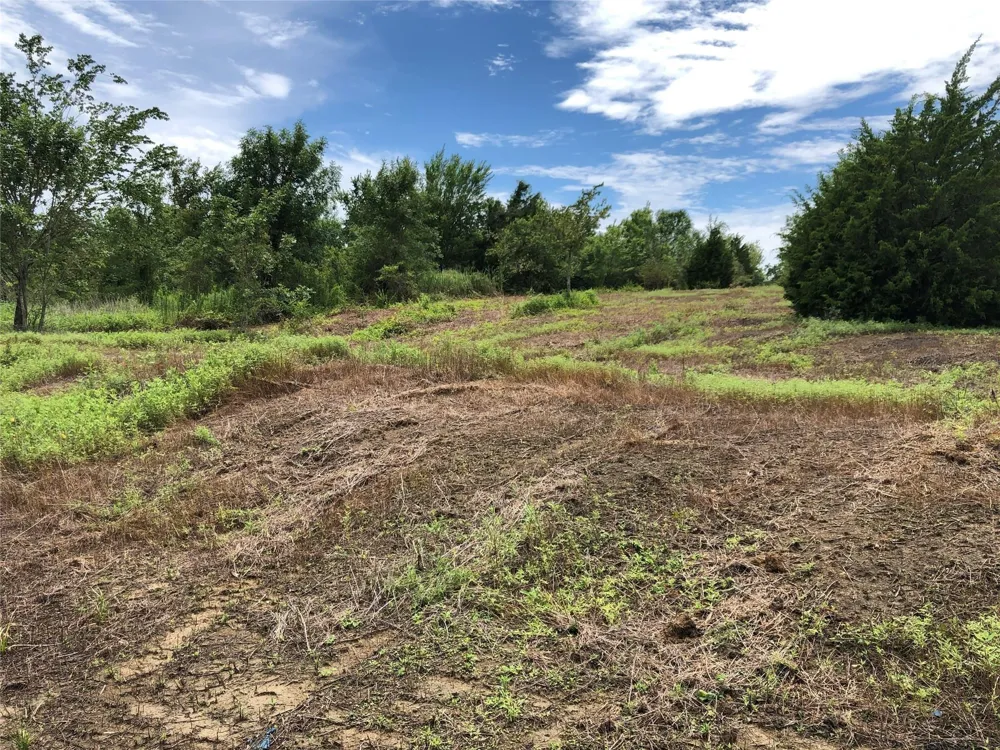 1 Steele Road Highlands, TX 77562