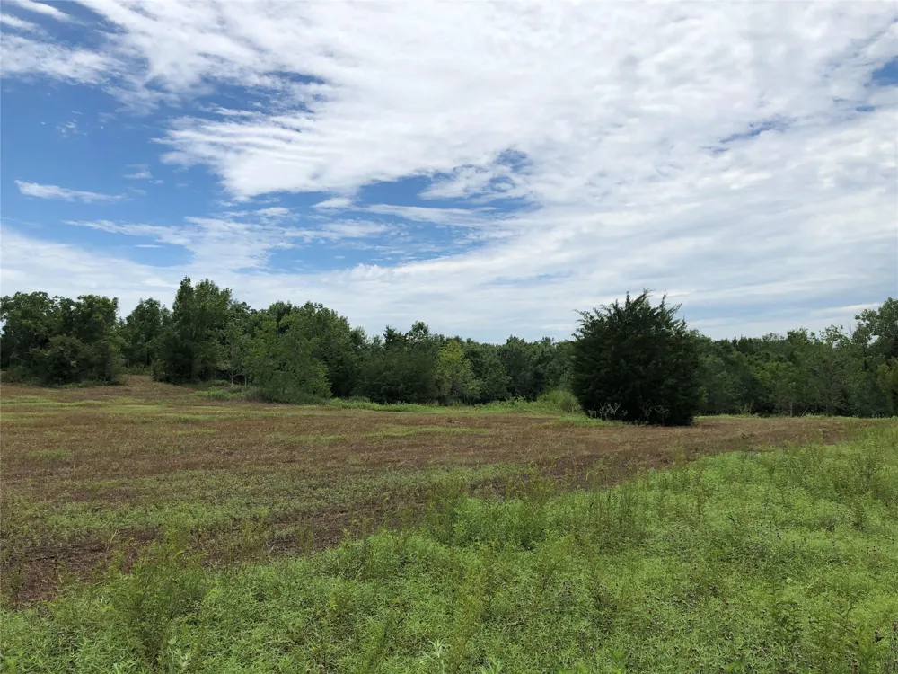 1 Steele Road Highlands, TX 77562